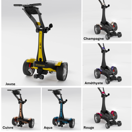 Q Follow 2025 - Couleur  - Batterie capacité étendue (36 trous)