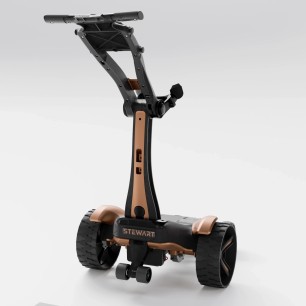 VERTX Remote - Couleur -  Batterie capacité standard (27 trous)